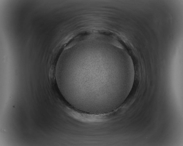 X0000084540044200703021453