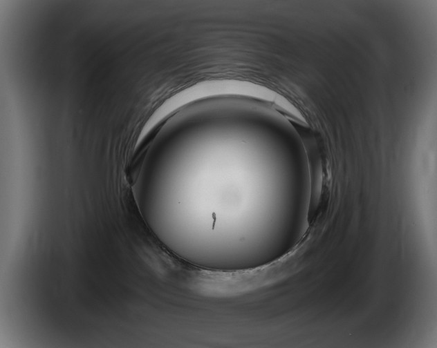 X0000084540045200703021453