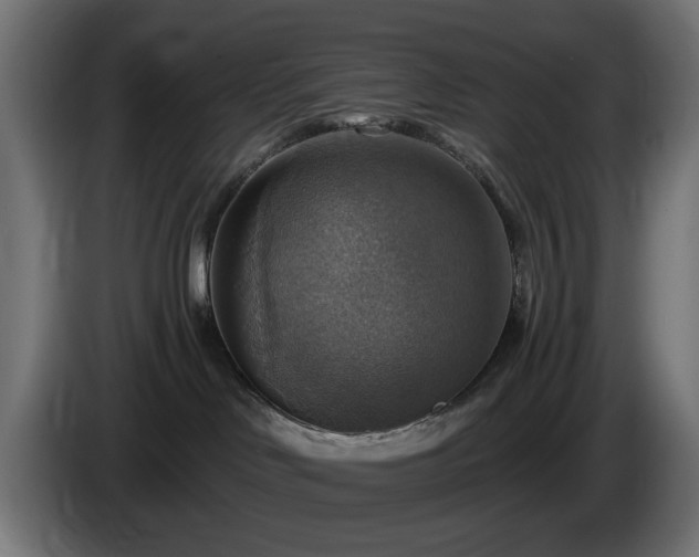 X0000084540046200703021453