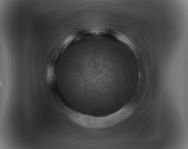 X0000084540048200703021453