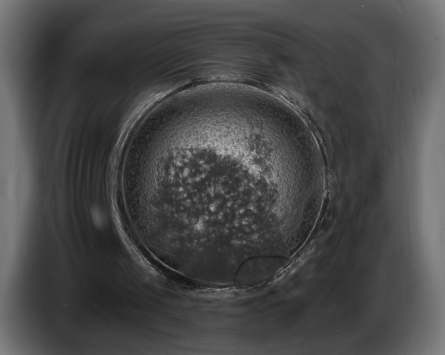 X0000084540049200703021453