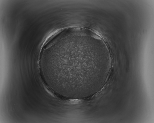 X0000084540050200703021453