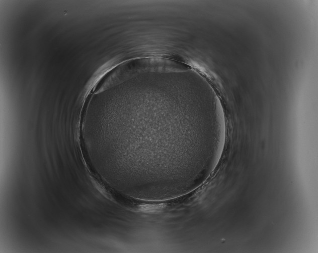 X0000084540051200703021453