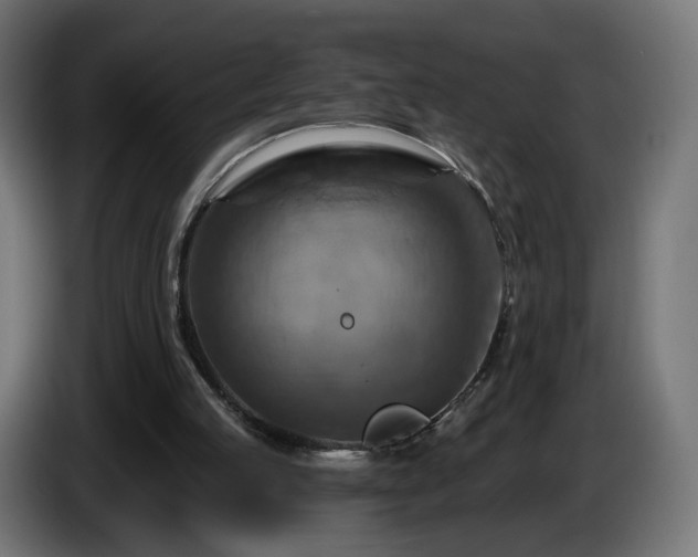 X0000084540053200703021453