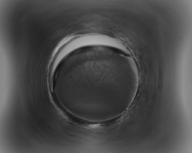 X0000084540054200703021453