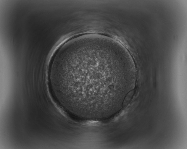 X0000084540055200703021453