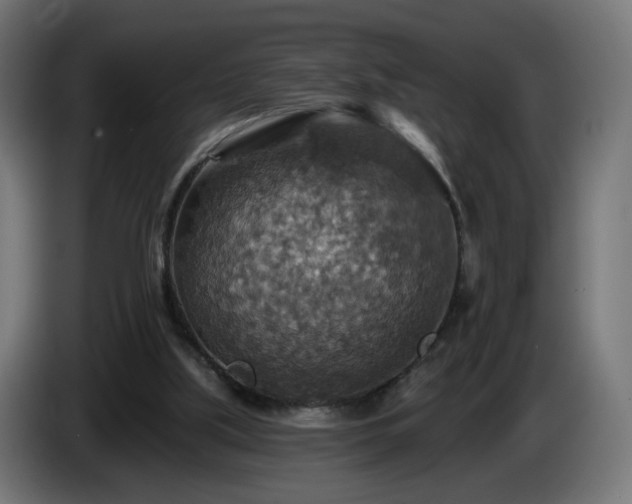 X0000084540059200703021453