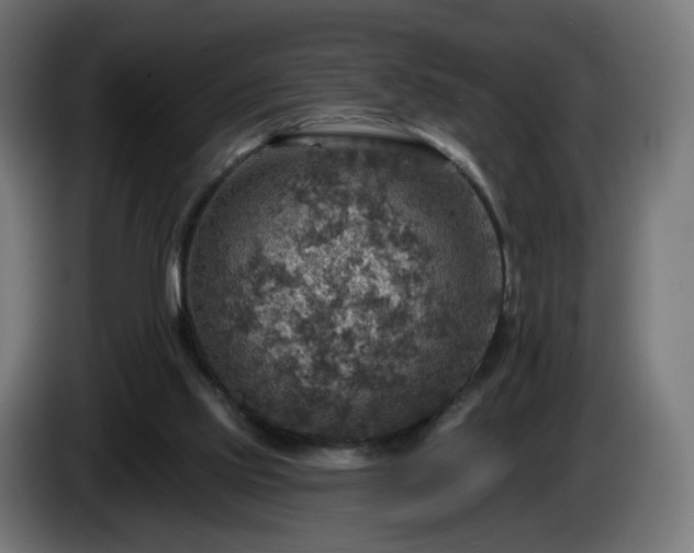 X0000084540061200703021453