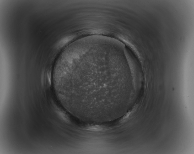 X0000084540062200703021453