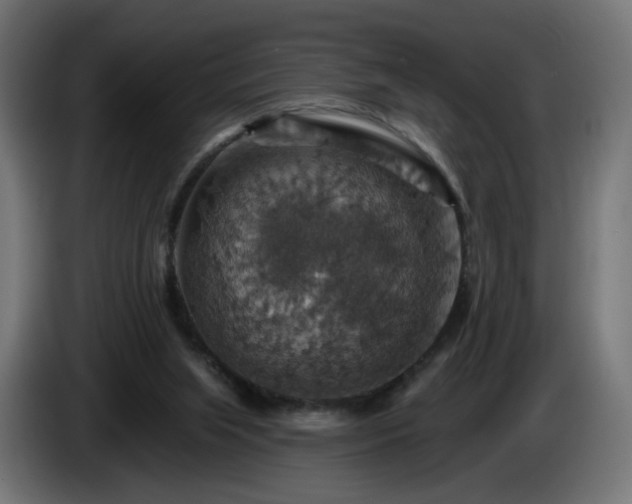 X0000084540063200703021453