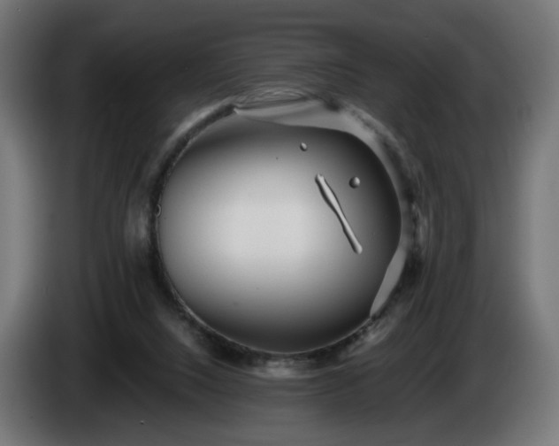 X0000084540064200703021453