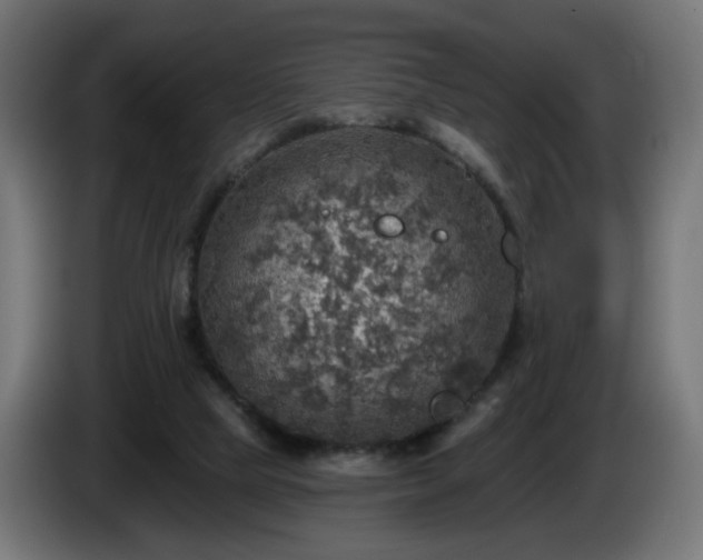 X0000084540065200703021453