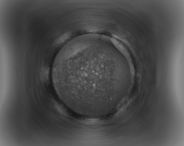 X0000084540066200703021453