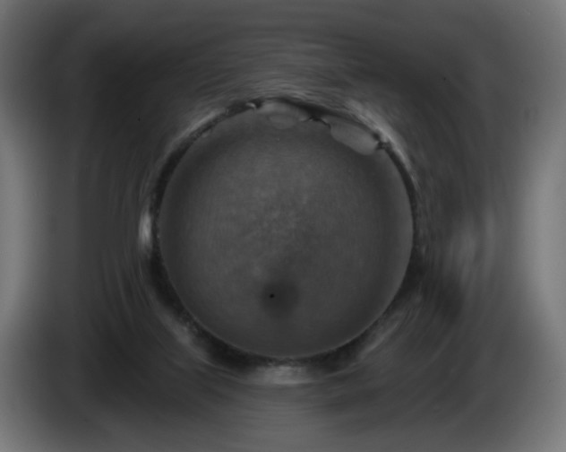 X0000084540067200703021453