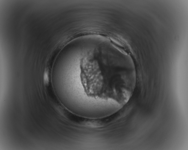 X0000084540069200703021453