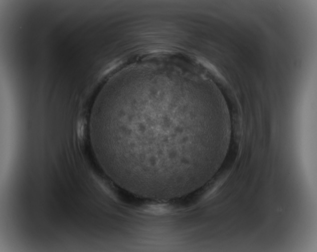 X0000084540071200703021453