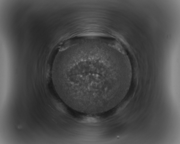 X0000084540073200703021453