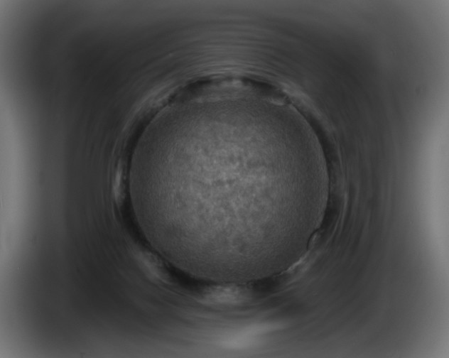 X0000084540074200703021453