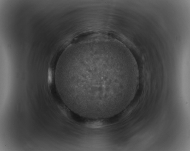 X0000084540075200703021453