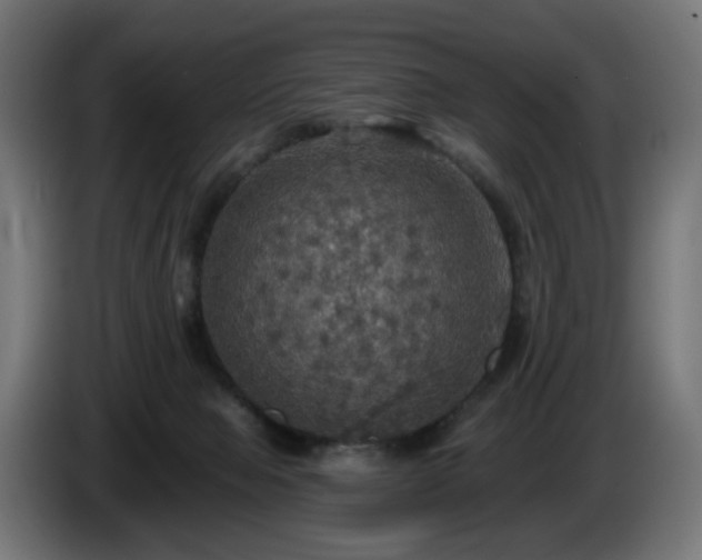 X0000084540077200703021453