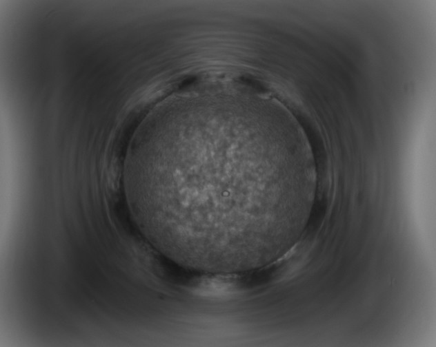 X0000084540078200703021453