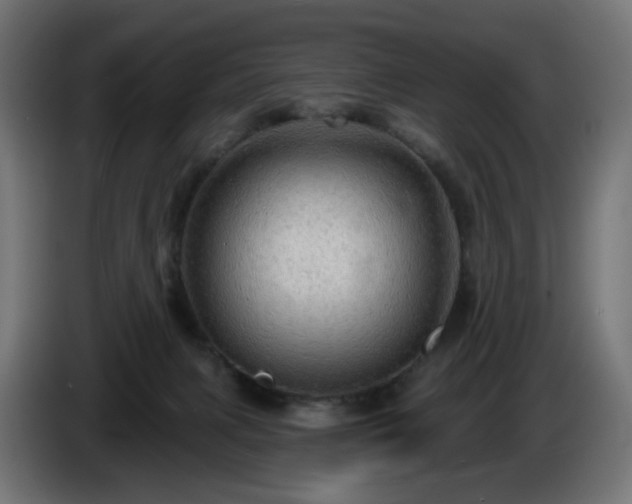 X0000084540079200703021453