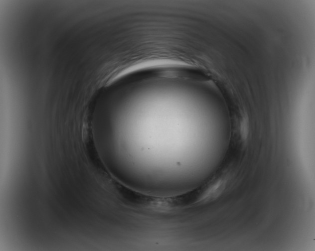 X0000084540080200703021453