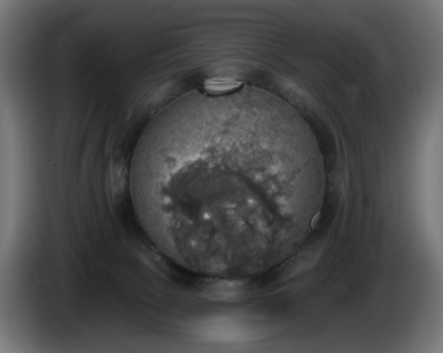 X0000084540081200703021453