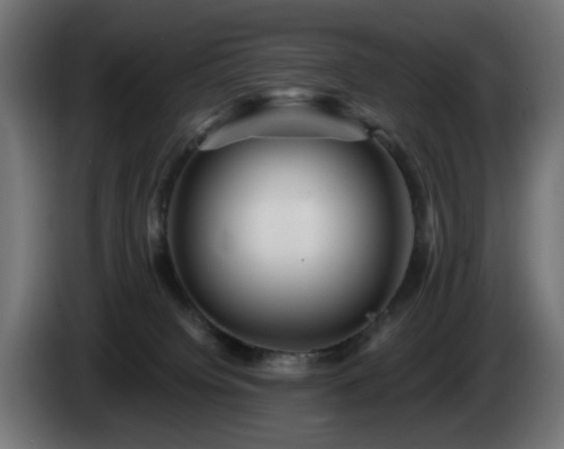 X0000084540084200703021453