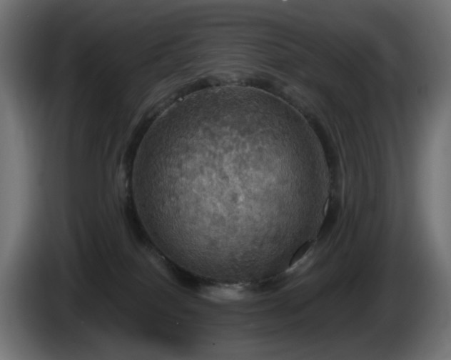 X0000084540086200703021453