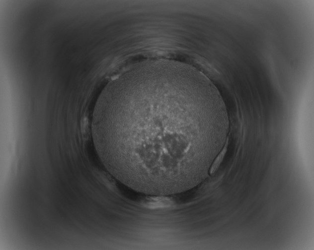 X0000084540087200703021453