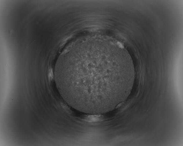 X0000084540089200703021453