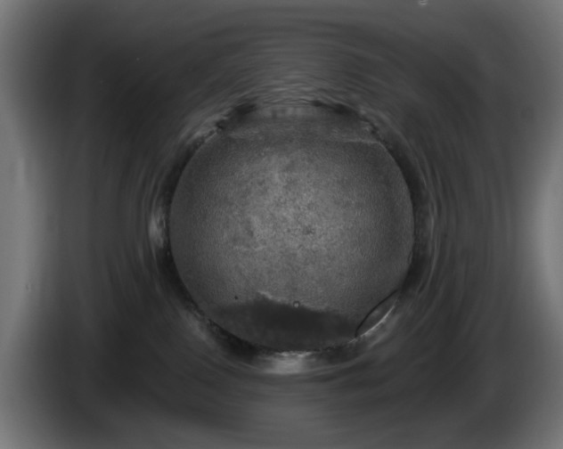 X0000084540090200703021453