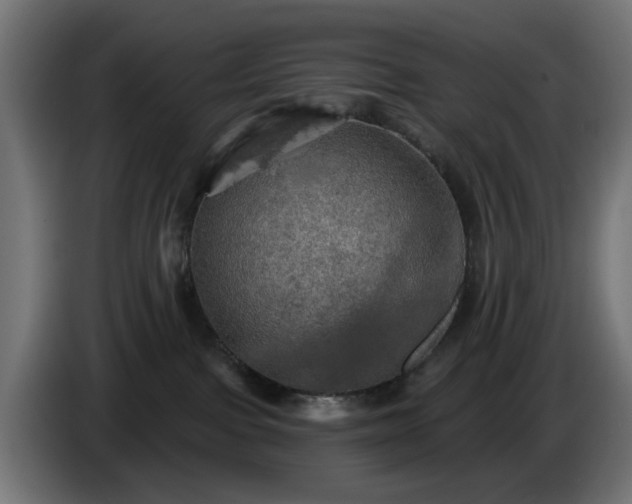 X0000084540091200703021453