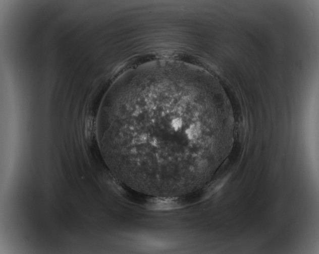 X0000084540093200703021453