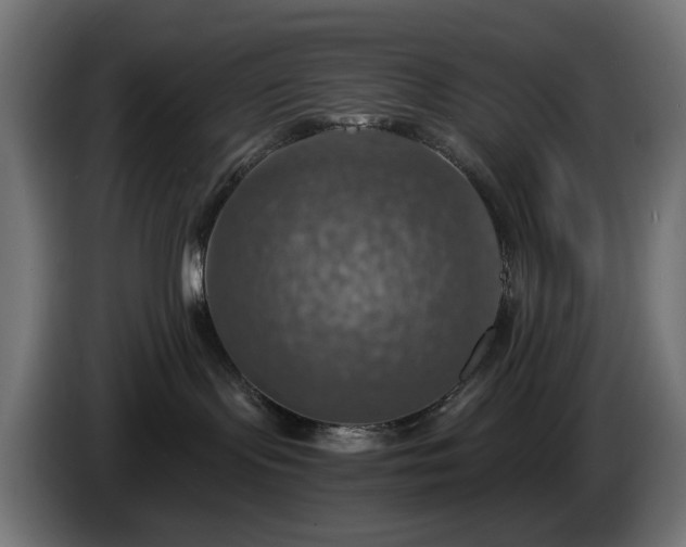 X0000084540095200703021453