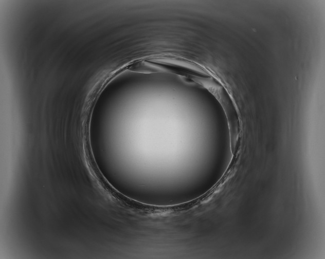 X0000084540097200703021453