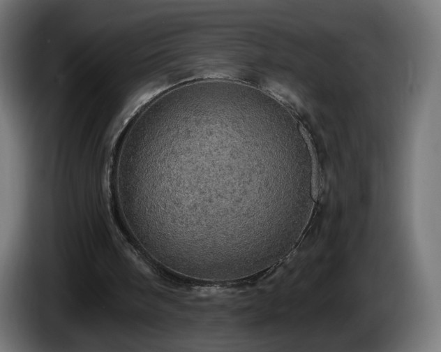 X0000084540098200703021453