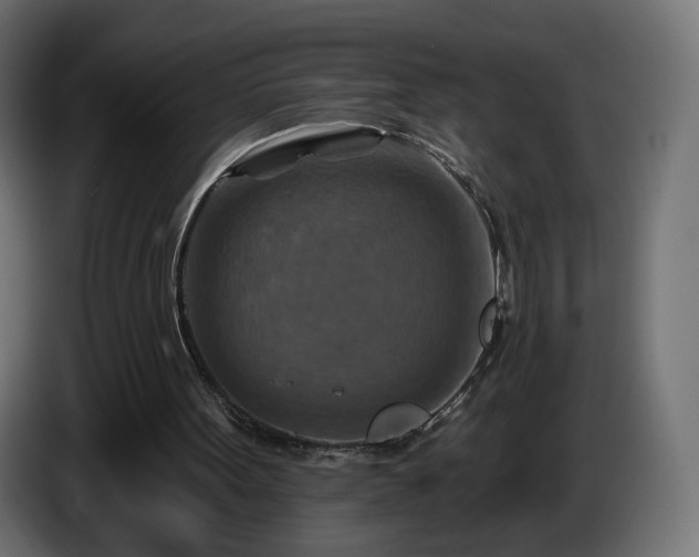 X0000084540099200703021453