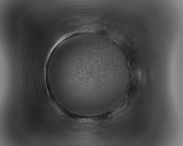 X0000084540100200703021453