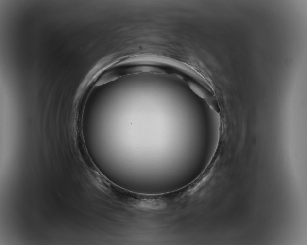 X0000084540101200703021453