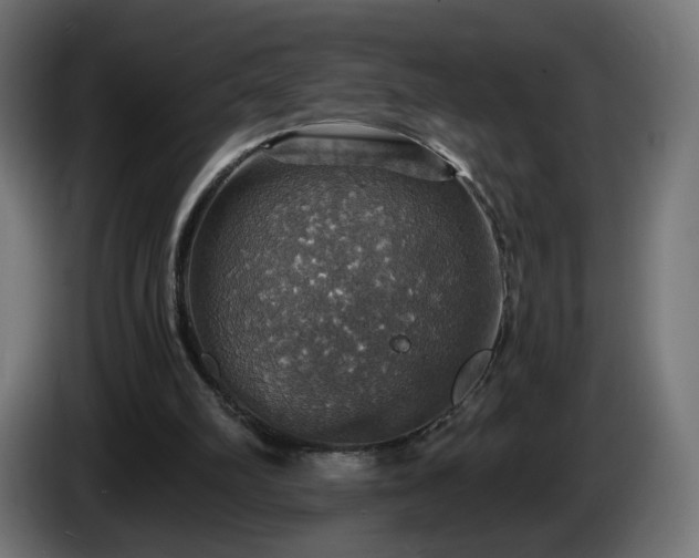 X0000084540102200703021452