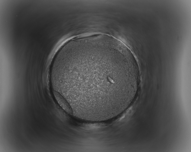 X0000084540103200703021452