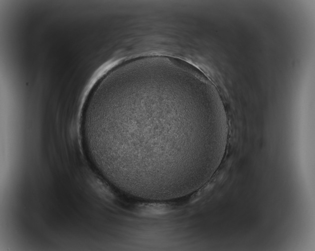 X0000084540104200703021452