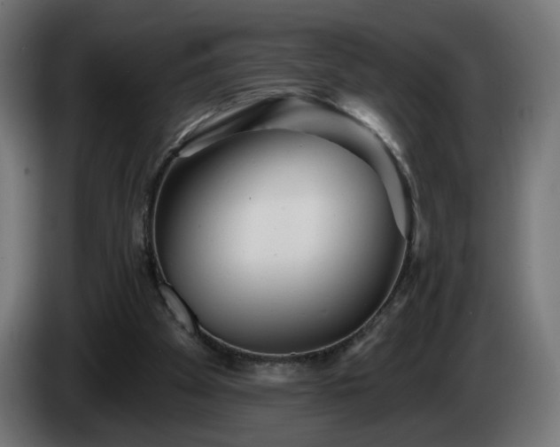 X0000084540105200703021452