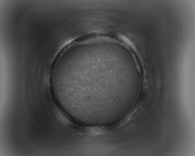 X0000084540106200703021452