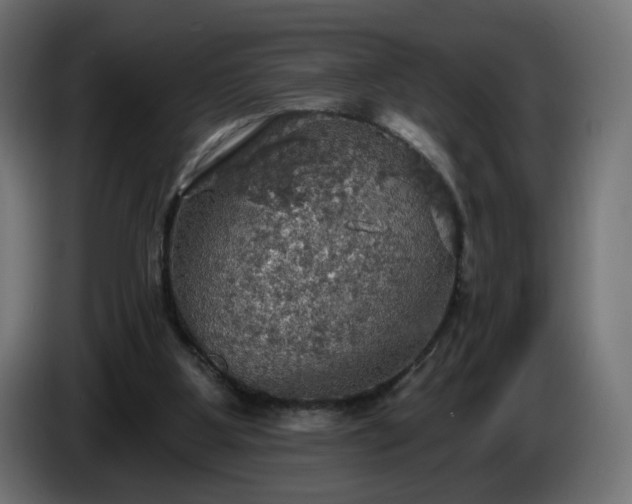 X0000084540107200703021452