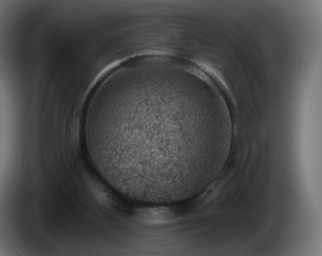 X0000084540108200703021452