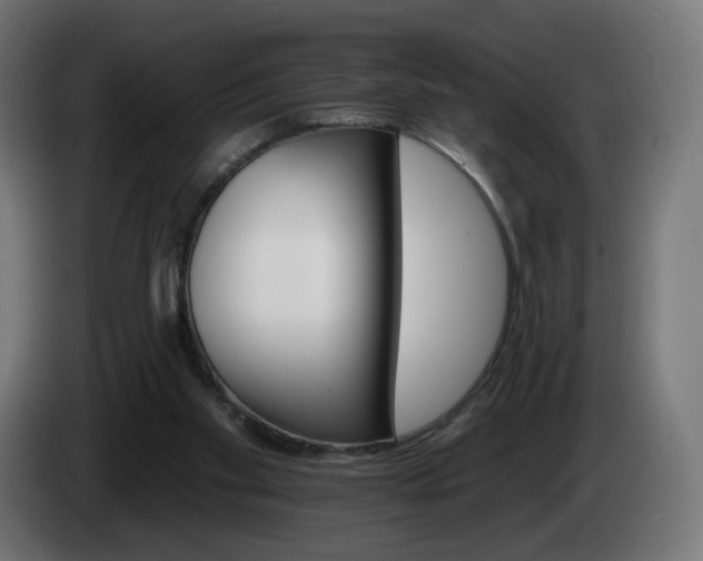 X0000084540109200703021452