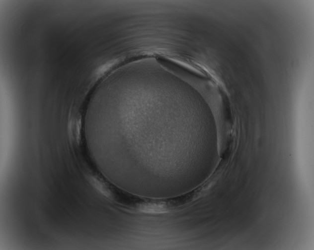 X0000084540110200703021452